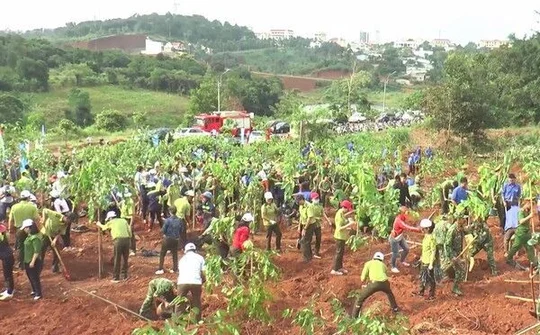 Chung tay lan toả “Ngày hội trồng cây vì Đắk Nông xanh”
