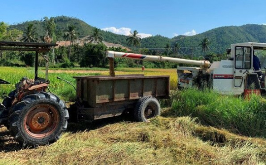 Đà Nẵng: 5.965 hộ nông dân đạt danh hiệu sản xuất kinh doanh giỏi các cấp