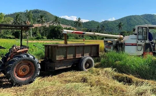 Đà Nẵng: 5.965 hộ nông dân đạt danh hiệu sản xuất kinh doanh giỏi các cấp