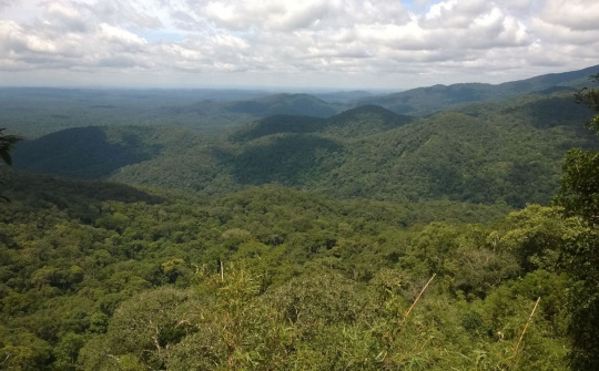 Khánh Hòa: Thẩm định chủ trương chuyển đổi mục đích sử dụng rừng