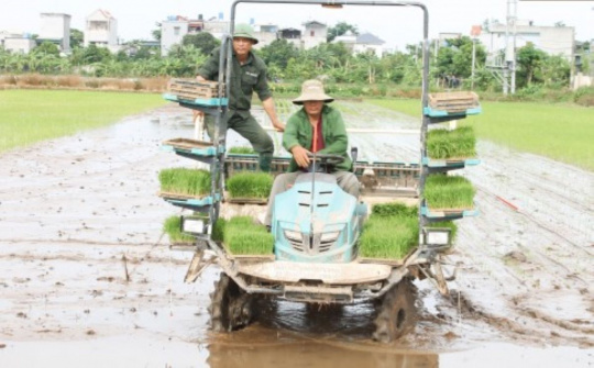 Thái Bình hướng tới trở thành trung tâm sản xuất nông nghiệp hàng đầu Vùng đồng bằng sông Hồng