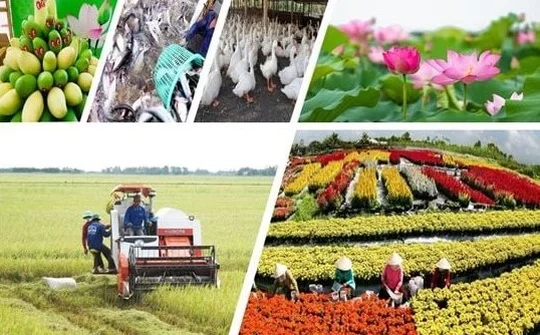 Đồng Tháp: Đổi mới tư duy từ sản xuất nông nghiệp sang kinh tế nông nghiệp