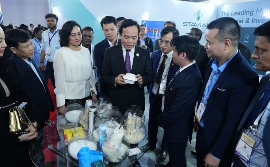 Stavian khẳng định vị thế tại Hội nghị thượng đỉnh toàn cầu Vibrant Gujarat lần thứ 10