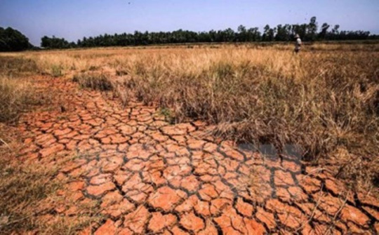 Chủ động ứng phó với nguy cơ hạn hán, thiếu nước, xâm nhập mặn