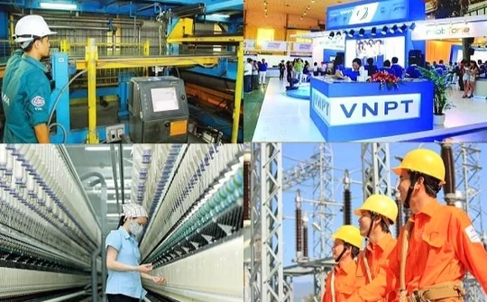 Vai trò của tập đoàn kinh tế nhà nước trong nền kinh tế thị trường định hướng xã hội chủ nghĩa ở Việt Nam hiện nay