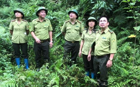 Chi cục kiểm lâm Thái Nguyên: Khẳng định vai trò lực lượng nòng cốt trong công tác bảo vệ và phát triển rừng