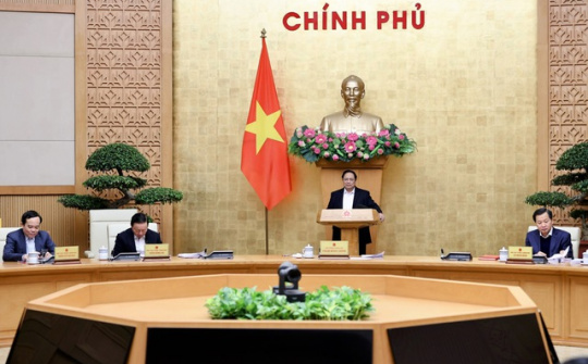 Chính phủ thảo luận 5 nội dung dự án luật