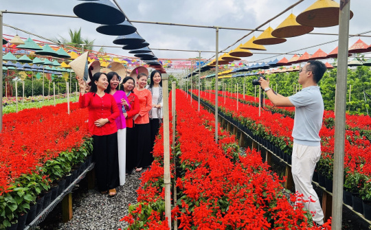 Festival Hoa - Kiểng Sa Đéc lần thứ I vượt ngoài tầm vóc của một Lễ hội cấp tỉnh