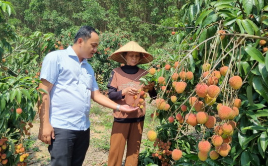 Khởi sắc từ phong trào “Huyện M’Drắk chung sức xây dựng nông thôn mới”