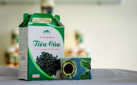 Hơn 20 năm xây dựng và phát triển thương hiệu tiêu Cùa Quảng Trị