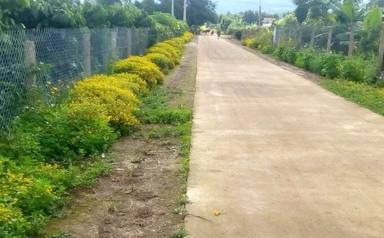 Xã Hòa Phú, huyện Chư Păh, Gia Lai: Đồng thuận về đích nông thôn mới