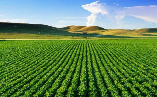 Tăng cường tập trung chỉ đạo, triển khai thi hành Luật Đất đai