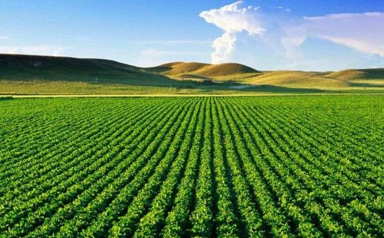Tăng cường tập trung chỉ đạo, triển khai thi hành Luật Đất đai
