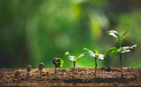 Chuyển đổi xanh, phát triển kinh tế xanh là lựa chọn chiến lược