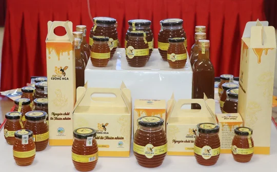 Mật ong Cường Nga và hành trình xây dựng thương hiệu đạt chuẩn OCOP 4 sao