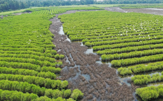 Reviving 'Green Belt' in South-central region