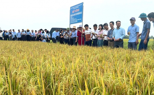 Khoa học khuyến nông Hà Tĩnh: Sản xuất nông nghiệp nói không với hóa chất là xu hướng tât yếu
