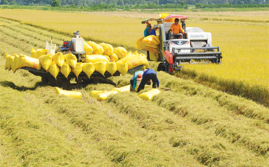 Cuộc “cách mạng” của Việt Nam trong xóa đói giảm nghèo bền vững