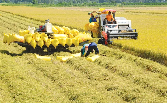 Cuộc “cách mạng” của Việt Nam trong xóa đói giảm nghèo bền vững