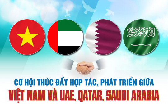Tạo động lực mở ra giai đoạn hợp tác mới giữa Việt Nam với khu vực vùng Vịnh