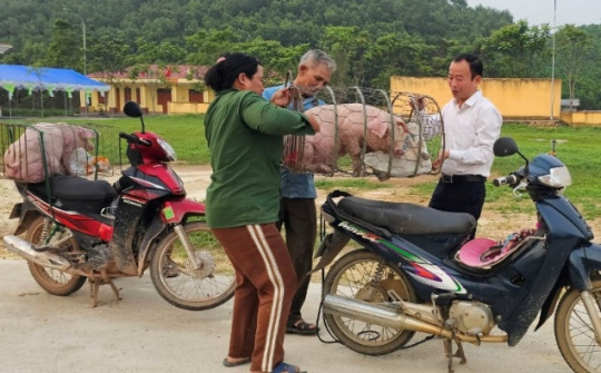 Thái Nguyên: Thúc đẩy phát triển kinh tế - xã hội vùng đồng bào dân tộc thiểu số