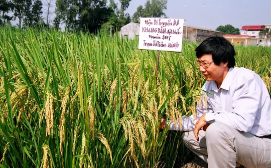 Lá cờ đầu trong nghiên cứu chuyên sâu về di truyền - công nghệ sinh học