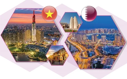Viet Nam, Qatar to enter new era of cooperation