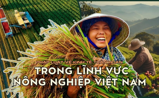 Pháp luật về kinh tế tuần hoàn trong lĩnh vực nông nghiệp ở Việt Nam