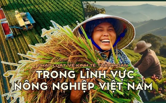 Pháp luật về kinh tế tuần hoàn trong lĩnh vực nông nghiệp ở Việt Nam