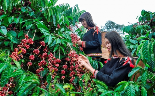 Tập trung ưu tiên nguồn vốn cho đồng bào dân tộc thiểu số