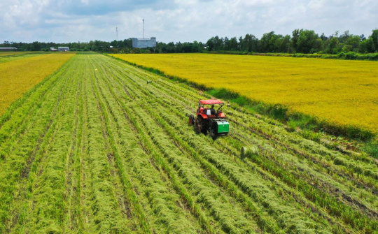 Tăng đầu tư cho sản xuất lúa chất lượng cao, phát thải thấp