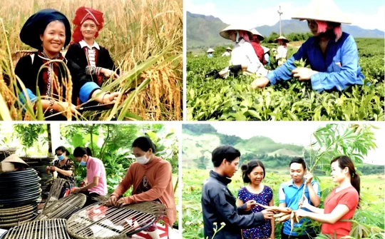 Nghiên cứu hoàn thiện cơ chế, chính sách về 3 Chương trình mục tiêu quốc gia