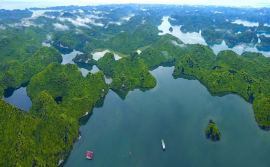 National Biodiversity Conservation Plan through 2030 approved