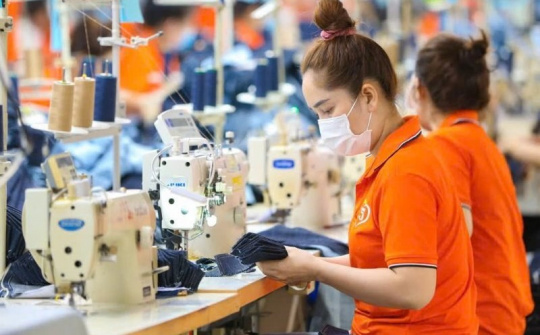 Kế hoạch triển khai thi hành Luật Bảo hiểm xã hội và Nghị quyết số 142/2024/QH15