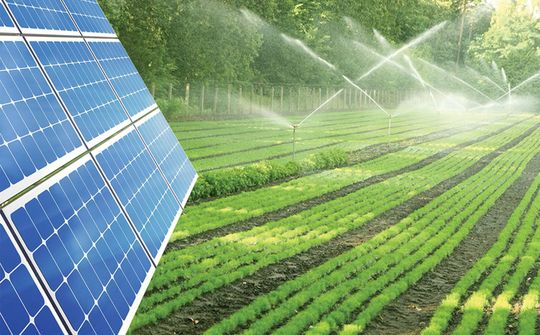 Thích ứng với biến đổi khí hậu với 3 nhóm nhiệm vụ giải pháp quan trọng