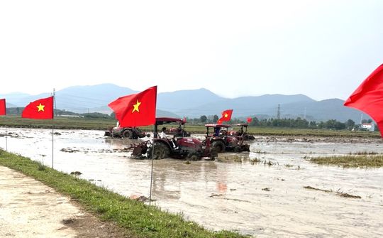 Hà Tĩnh: Tích tụ ruộng đất là then chốt nâng cao hiệu quả kinh tế nông nghiệp