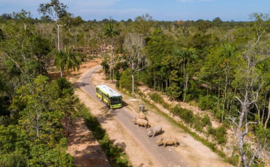 Vinpearl Safari Phú Quốc lọt top đầu vườn thú và thủy cung tại Châu Á