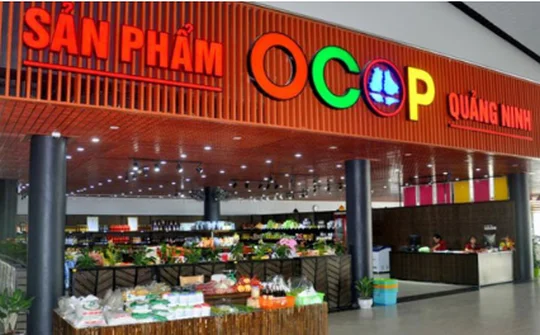 Thị xã Quảng Yên có 12 sản phẩm tiềm năng đạt OCOP 3 sao cấp huyện