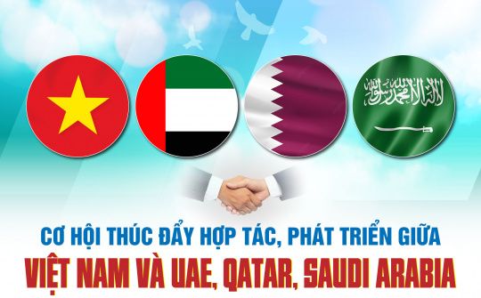 "Trí tuệ", "Thời gian" và Tầm nhìn tương lai