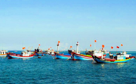 Việt Nam quyết tâm "gỡ thẻ vàng" IUU