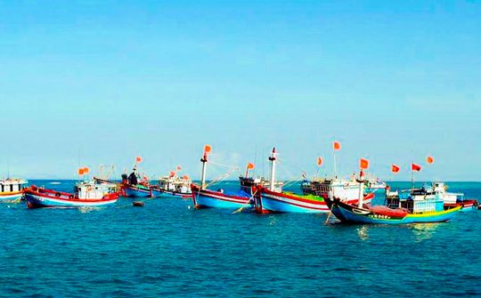 Việt Nam quyết tâm "gỡ thẻ vàng" IUU