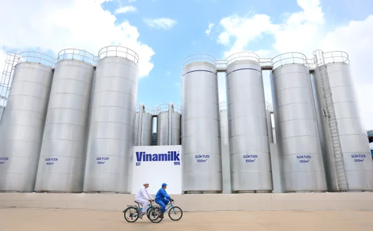 Đưa thương hiệu quốc gia vươn tầm thế giới – “hành trình rực rỡ” của Vinamilk