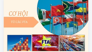 Hỗ trợ nguồn lực cho doanh nghiệp trong ‘sân chơi’ FTA