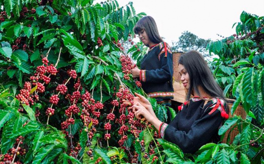 Quy hoạch vùng Tây Nguyên với 6 nhóm nhiệm vụ trọng tâm