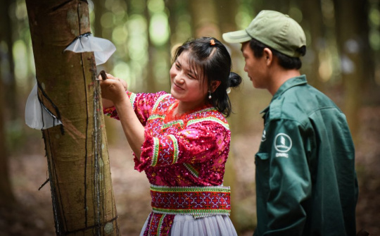 Ngành cao su tăng trưởng xanh