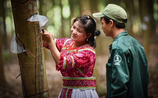 Ngành cao su tăng trưởng xanh