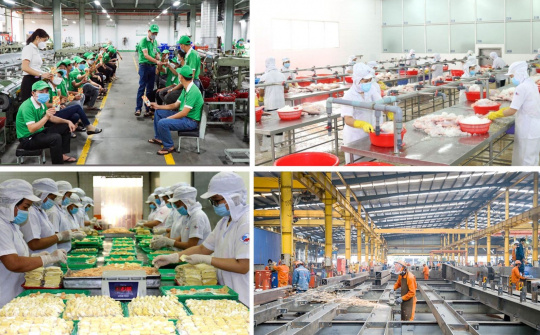 Chủ trương của Đảng về phát triển kinh tế tư nhân trở thành động lực kinh tế quan trọng