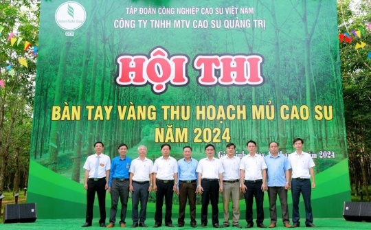 Xuân sớm trên miền cao su Bắc Trung bộ