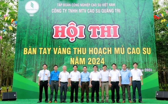 Xuân sớm trên miền cao su Bắc Trung bộ