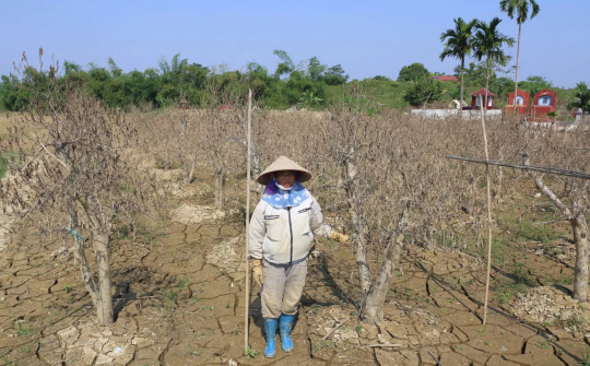 Multi-sector assessment highlights recovery needs from Typhoon Yagi for employment, livelihoods and social protection